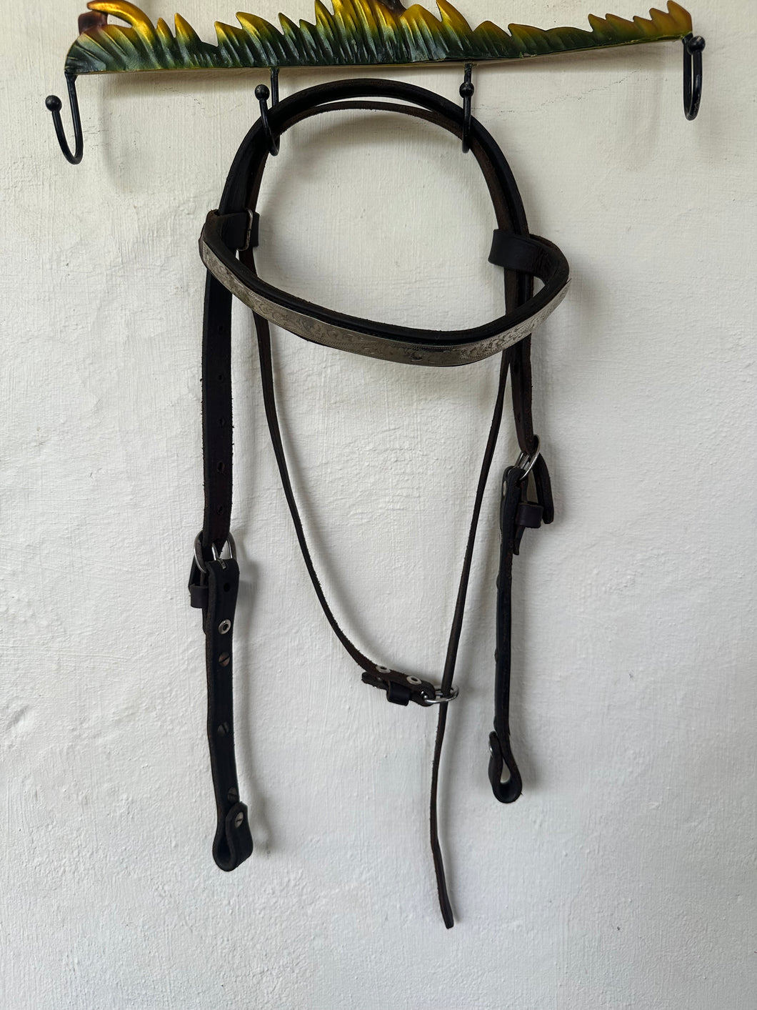 Dark brown western bridle